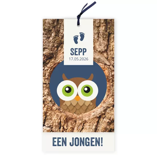 Geboortekaart uil in boom blauw
