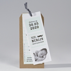 Geboortekaartjes in de kleur Mint - geboortekaartje 586068