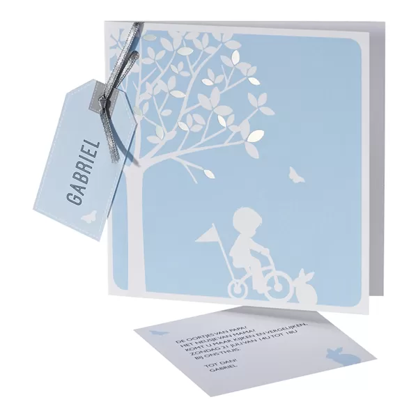Hip mannetje op de fiets