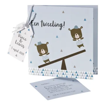 Tweeling geboortekaart jongen/jongen