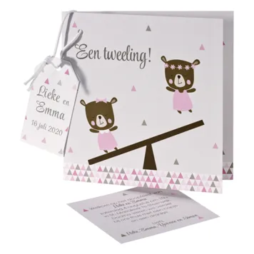 Tweeling geboortekaart meisje/meisje