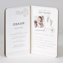 Paspoort en ID-kaart geboortekaartjes - geboortekaartje 589024