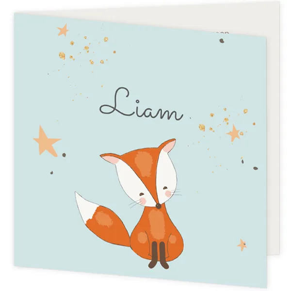 Vosje tussen de sterren - Liam
