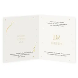 Beestenbende in het rond - Liam