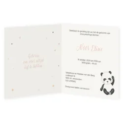 Panda met ballon - Noor