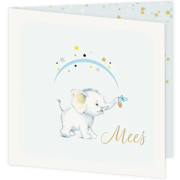 Olifantje Mees