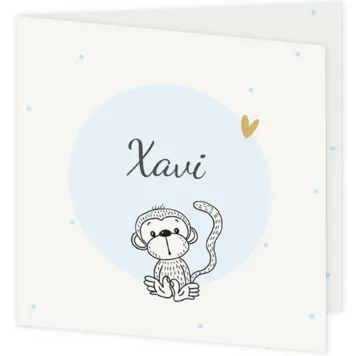 Aapje - Xavi