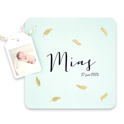 Geboortekaartjes in de kleur Mint - geboortekaartje 66.676