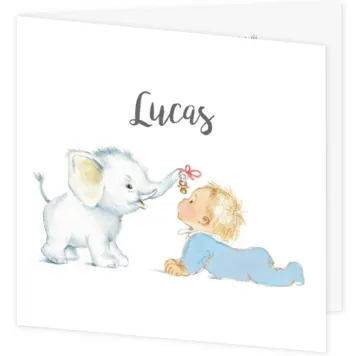 Olifantje met speen (Lucas)