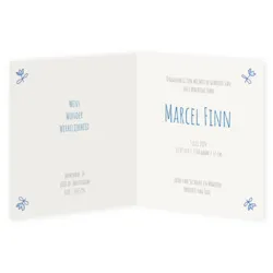 Delfts blauw (Marcel)
