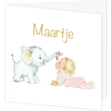 Olifantje met speen (Maartje)