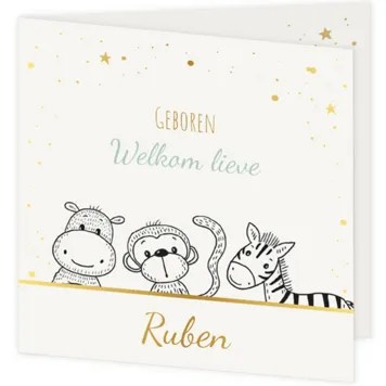 3 diertjes op een rij - Ruben