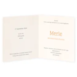 Derde kindje (Merle)