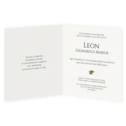 Olifantje - Leon