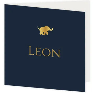 Olifantje - Leon