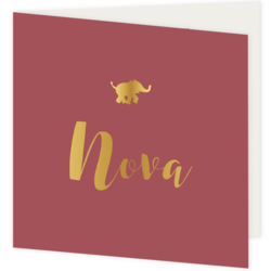 Geboortekaartje Nova - Gouden olifantje