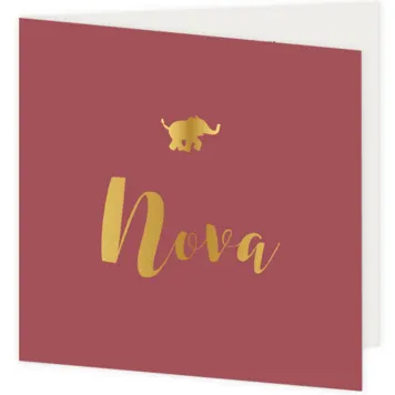 Geboortekaart Nova - Gouden olifantje