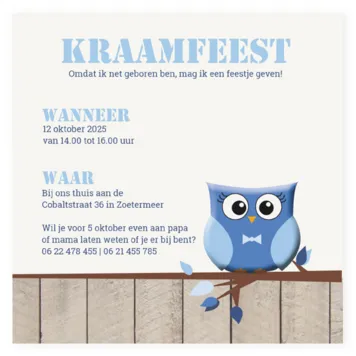 Kraamborrelkaartje Uil (Blauw)
