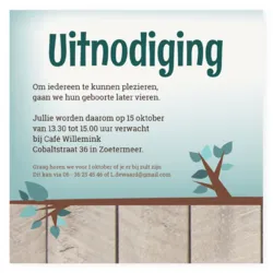 Kraamborrelkaartje uilen tweeling (jongens)