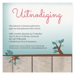 Kraamborrelkaartje-uilen-tweeling-(meisjes)