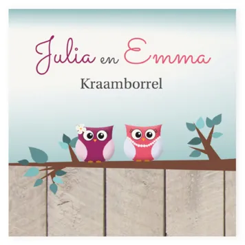 Kraamborrelkaartje-uilen-tweeling-(meisjes)