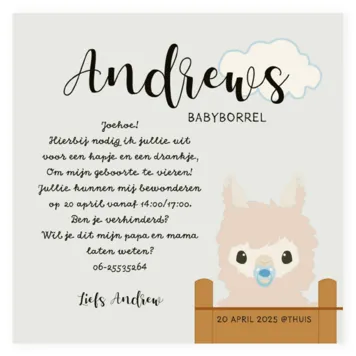 Kraamborrel alpaca jongen