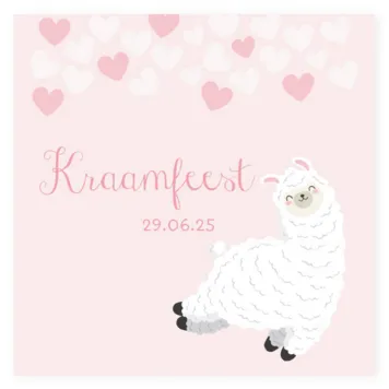Kraamborrel lama Lotte