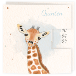Geboortekaartjes met giraf - geboortekaartje C7027