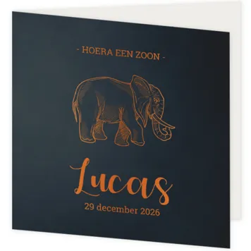 Geboortekaartje donkerblauw met olifant in foliedruk