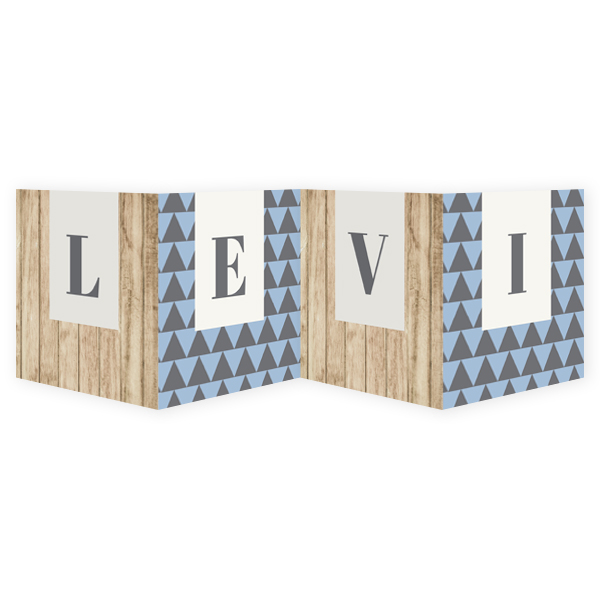 Vierluik steigerhout met ruitjes-Levi