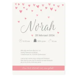 Zilver met roze hartjes regen - Norah
