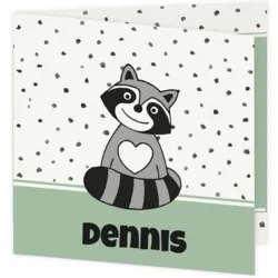 Geboortekaartje wasbeertje - Dennis