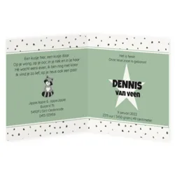 Geboortekaart wasbeertje - Dennis