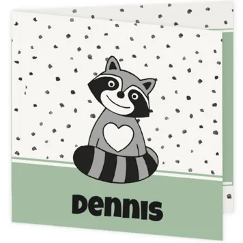 Geboortekaart wasbeertje - Dennis