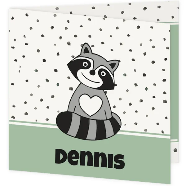 Geboortekaart wasbeertje - Dennis