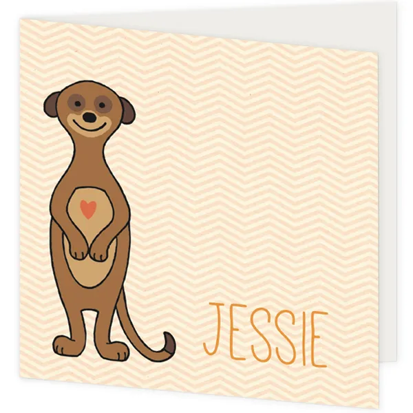 Geboortekaart stokstaartje Jessie