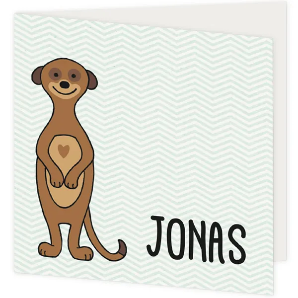 Geboortekaart stokstaartje Jonas