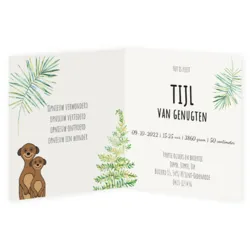 Geboortekaart stokstaartje Tijl