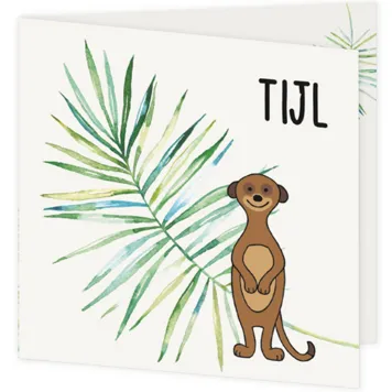 Geboortekaart stokstaartje Tijl