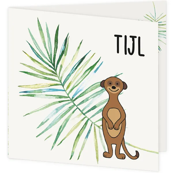 Geboortekaart stokstaartje Tijl