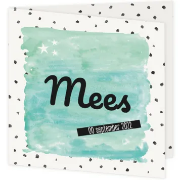Geboortekaart waterverf Mees