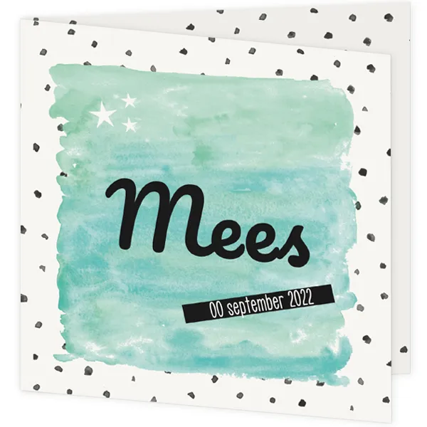 Geboortekaart waterverf Mees