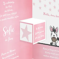 Lief geboortekaartje met zebra en sterren