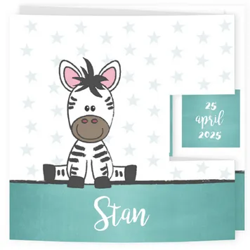 Lief zebraatje (drieluik jongen)