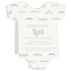 Geboortekaartjes voor een jongen - geboortekaartje LC357