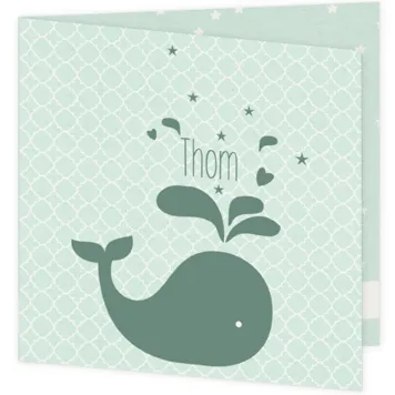 mintgroene walvis