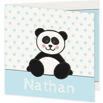 Pandabeer jongen