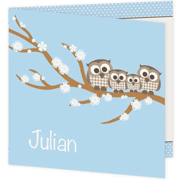 Geboortekaartje jongen- Familie uil
