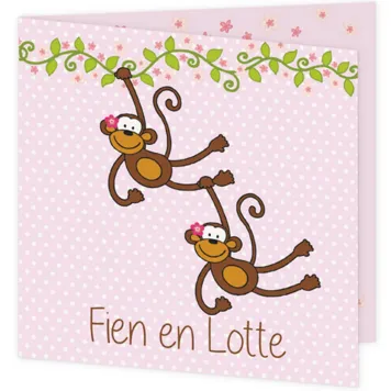 Geboortekaart tweeling aapjes meisjes