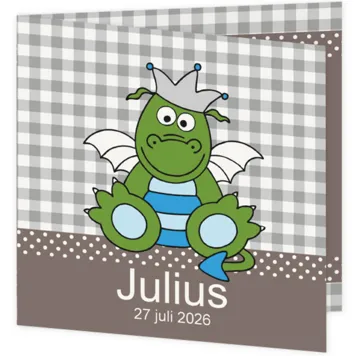 Geboortekaart jongen draakje